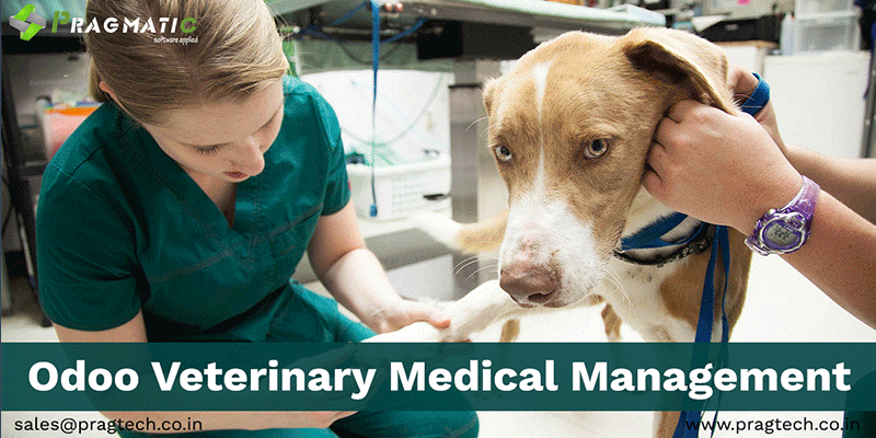 Odoo Veterinary Medical Management