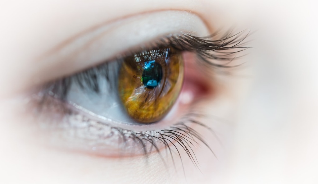 Ophthalmology Hospital Management System