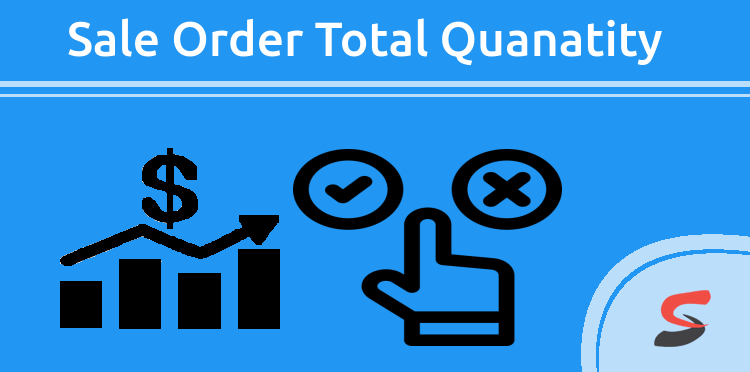 Sale Order Total Quantity