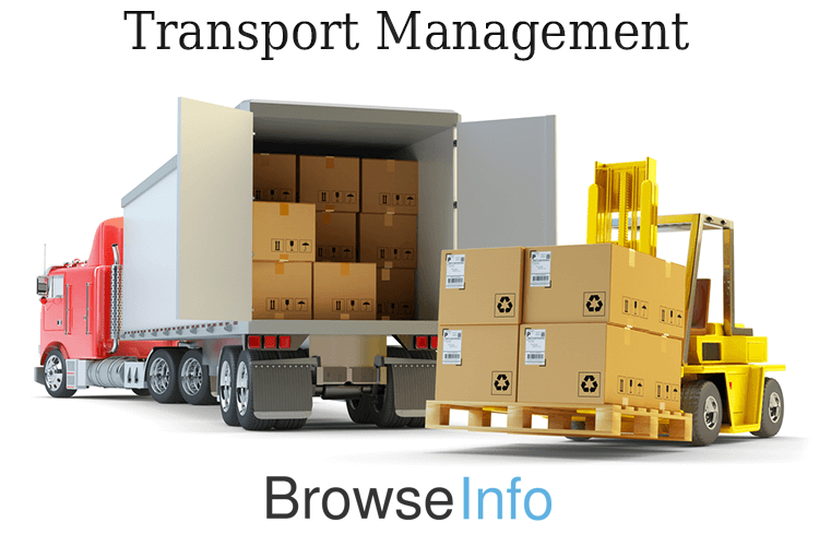 Freight Transport Management and Delivery Routes in Odoo