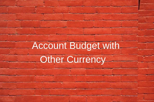 Account Budget with Multi Currency