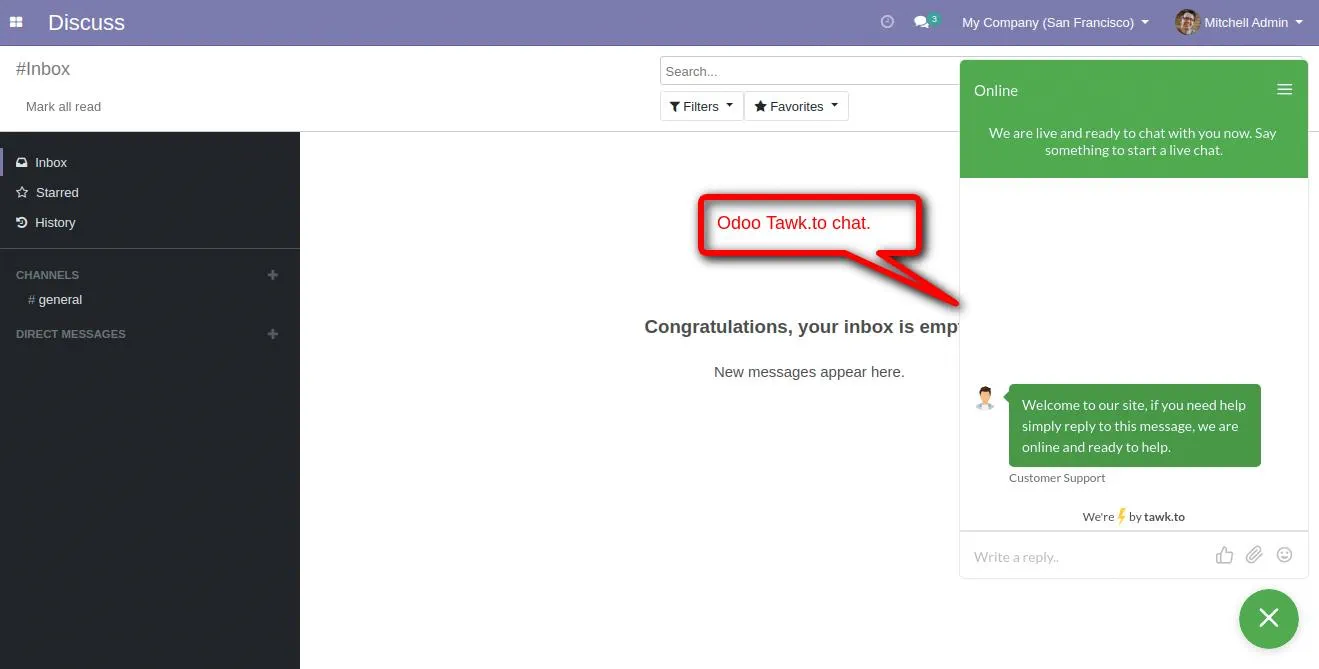 Odoo Backend Add Tawk.to